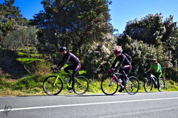 E-Bike Tour - From the Hills of the Sun to Montemarcello - Frequently Asked Questions