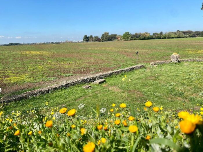 E-Bike Tour From via Appia Antica to Castel Gandolfo and Lake Albano - Booking Information