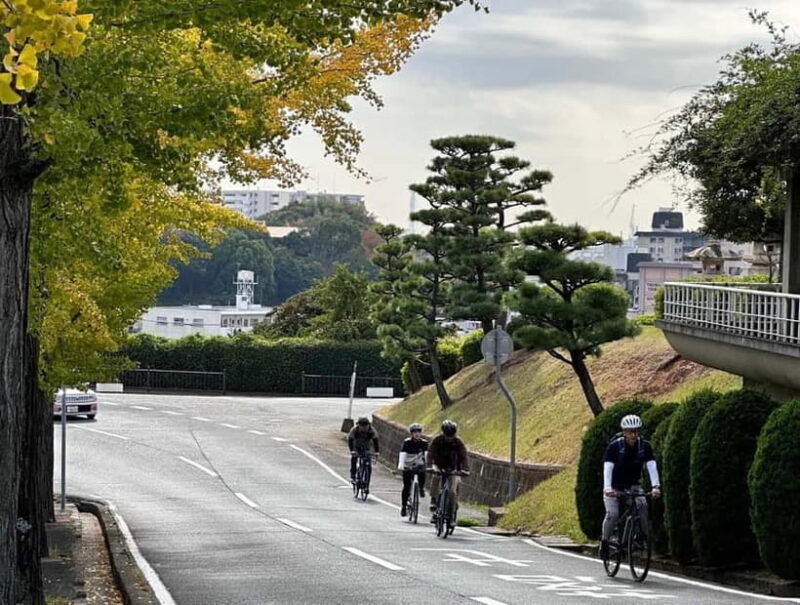 e-bike tour Himeji Castle Town along the old roads - Final Thoughts: Is This Tour Right for You?