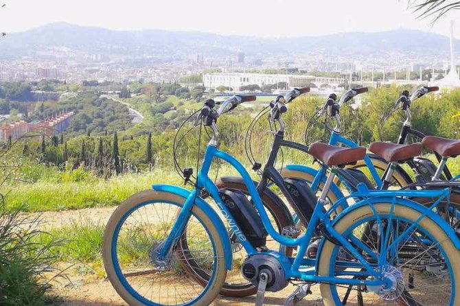 E-Bike Tour in Barcelona With English Guide - The Sum Up