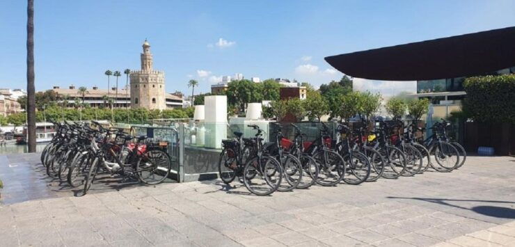 E-Bike Tour in Sevilla - Tour Description