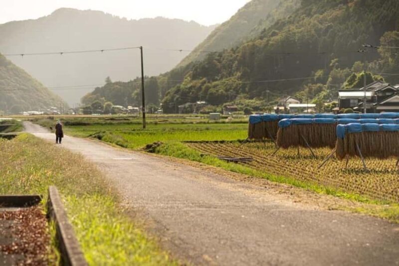 e-bike Tour in the Shiso Region with Lunch at a Sake Brewery - Good To Know