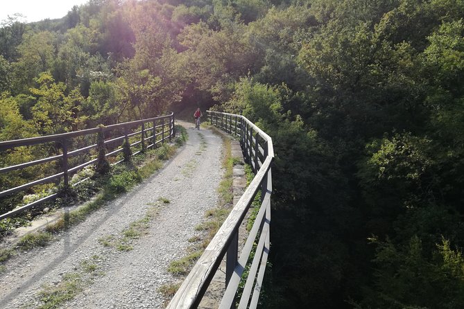 E-bike Tour: Istrian Countryside & Parenzana - Price and Reviews