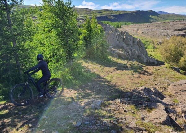 E-BIKE TOUR KJARNASKÓGUR AND AKUREYRI CITY - Booking and Cancellation Policy