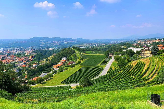 E-Bike Tour Lake Como and Swiss Vineyards - Tour Overview and Details