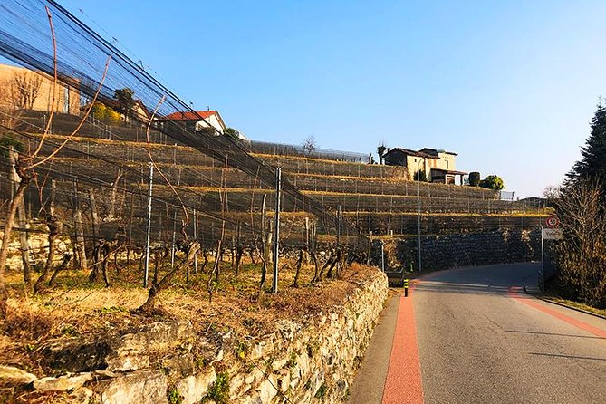 E-Bike Tour Lake Como and Swiss Vineyards - Customer Feedback and Concerns