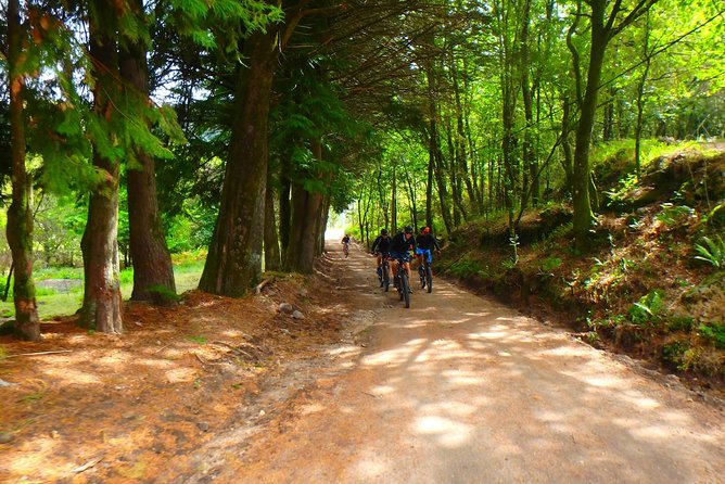 E-bike Tour: Peneda Geres National Park - Serra Amarela - Weather and Minimum Travelers Advisory