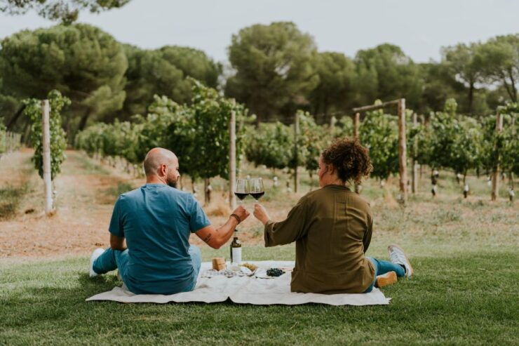 E-Bike Tour & Picnic in an Exclusive Winery Estate - Activity Description