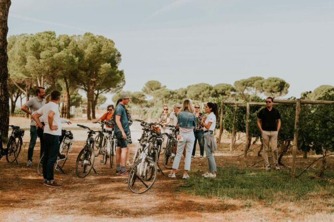 E-Bike Tour & Picnic in an Exclusive Winery Estate - Itinerary Highlights