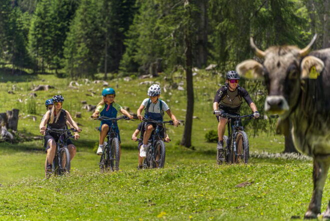E-Bike Tour - Participant Restrictions