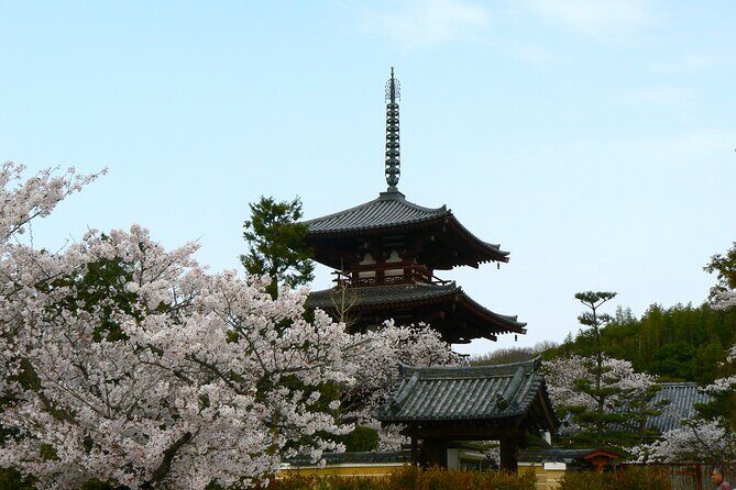 E-Bike Tour through Ikarugas Temples and Countryside - The Experience from a Traveler’s Perspective