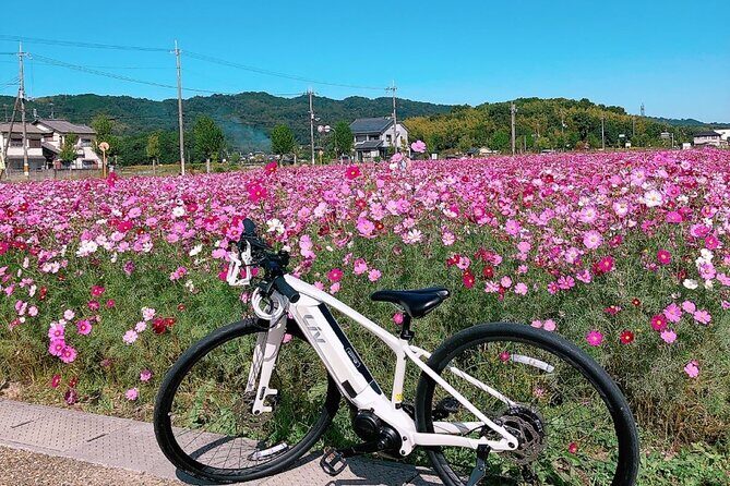 E-Bike Tour through Ikarugas Temples and Countryside - Who Will Enjoy This Tour?