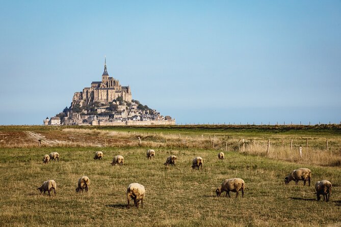 E-Bike Tour to Le Mont Saint Michel // Private Tour With Guide - Inclusions and Services Provided