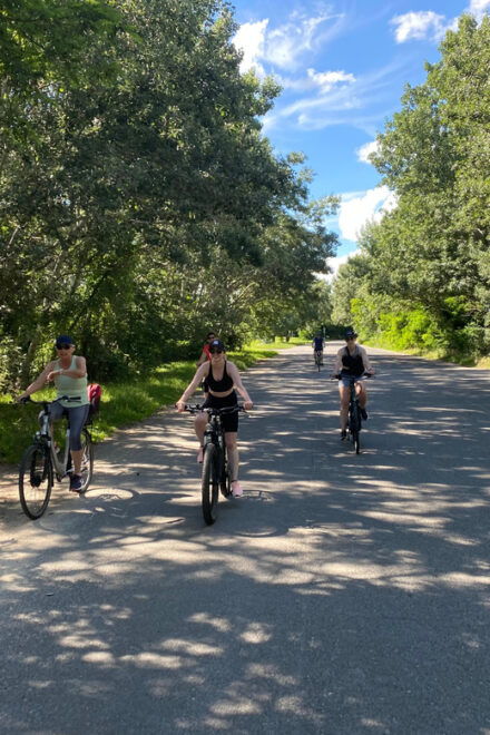 E-Bike Tour to Szentedre - Preparation and Requirements