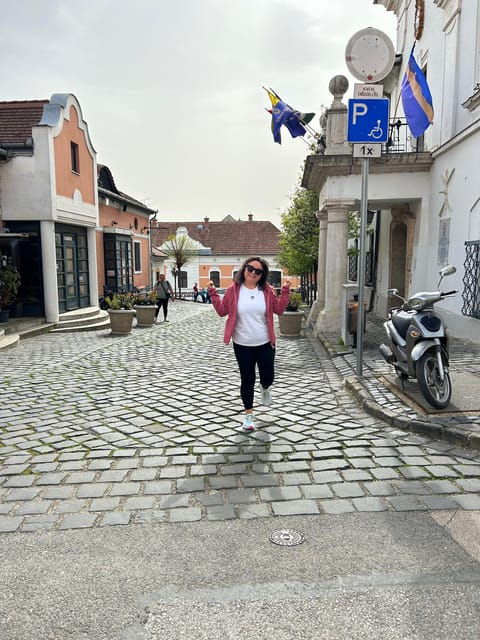 E-Bike Tour to Szentedre - Customer Feedback