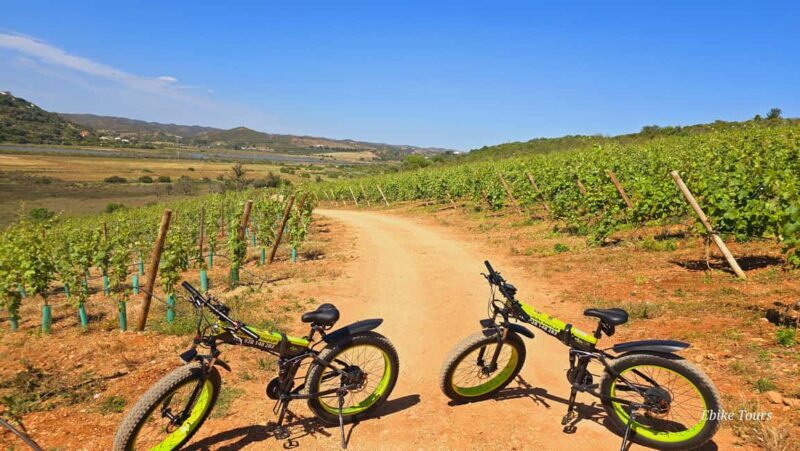 E-bike Tours Carvoeiro - Silves Tour - Good To Know