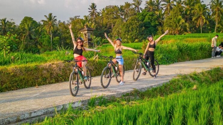 E-Bike: Ubud Rice Terraces & Traditional Villages Cycling - Activity Details