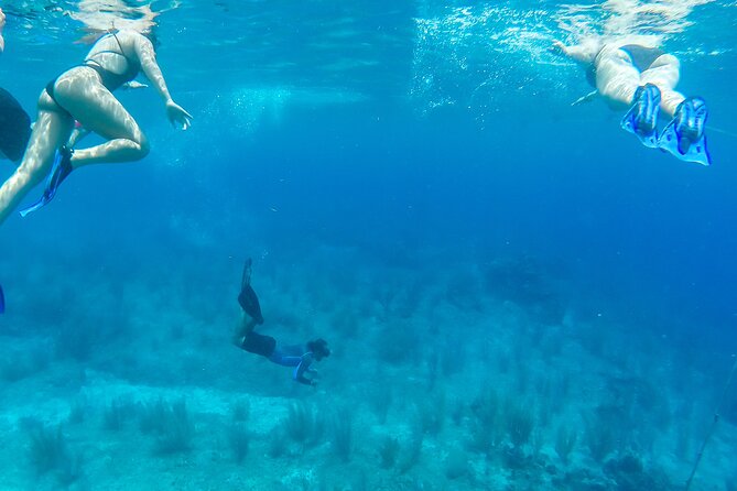 E-bike West Coast Snorkeling Tour - Common Questions