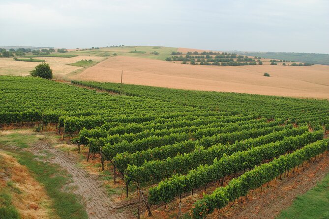 E-bike & Wine Tour to the Bulgarian Coast - Good To Know