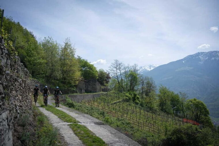 E-Bike Wine Tour with Indomita - Why This Tour Works