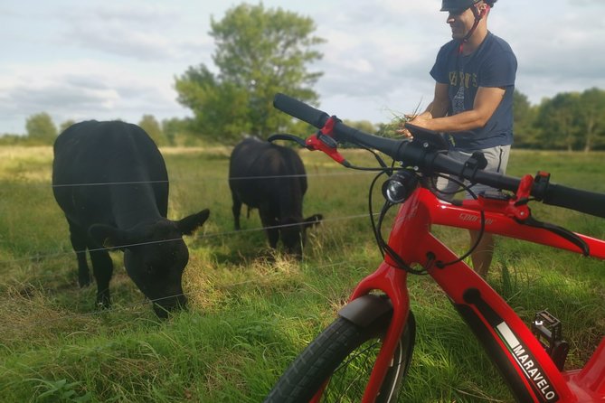 E-Biking Central Forgotten Giants S Adventure - Traveler Photos and Reviews