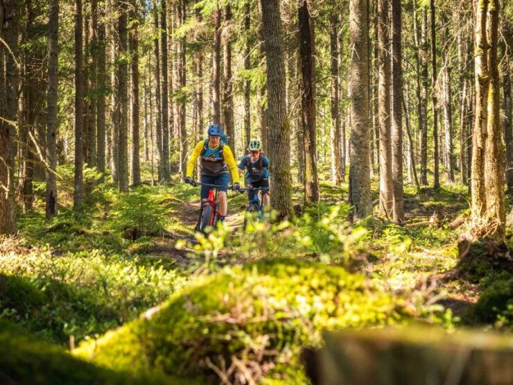E-Fatbike Experience in Small Groups - Activity Highlights