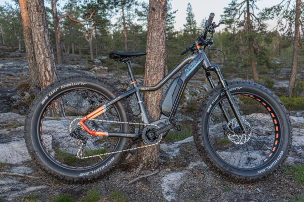 E-FATBIKE TOUR FROM ROVANIEMI UNDER THE MIDNIGHT SUN/SUNSET - Special Requests and Options