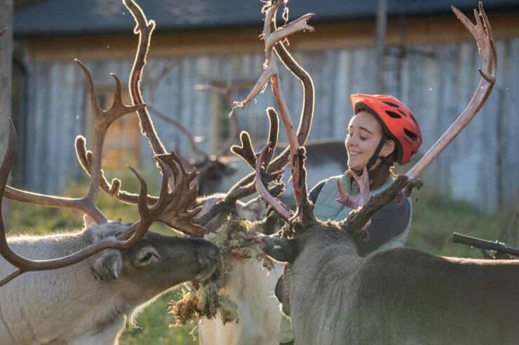 E-FATBIKE TRIP TO THE REINDEER FARM - Pricing and Duration