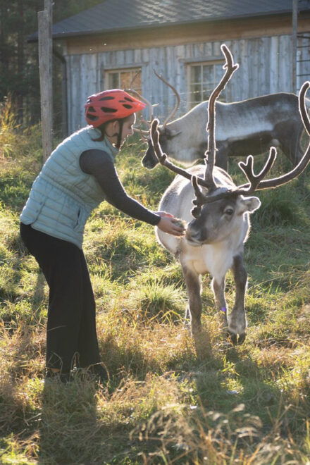 E-FATBIKE TRIP TO THE REINDEER FARM - Highlights of the Experience