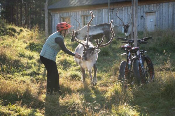 E-FATBIKE TRIP TO THE REINDEER FARM - Activities at the Farm