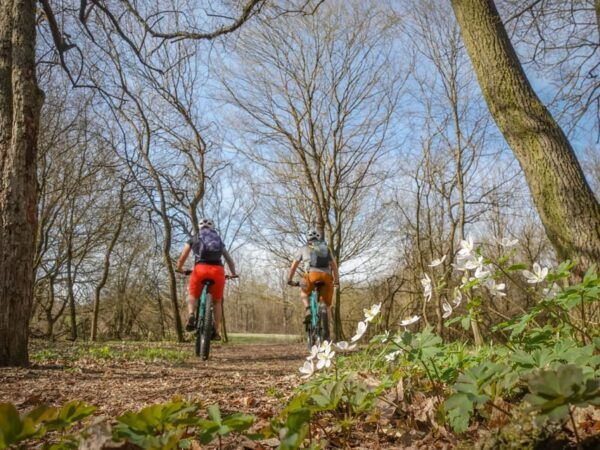 E-Mountain Bike Adventure in the Danube Bend - The Sum Up