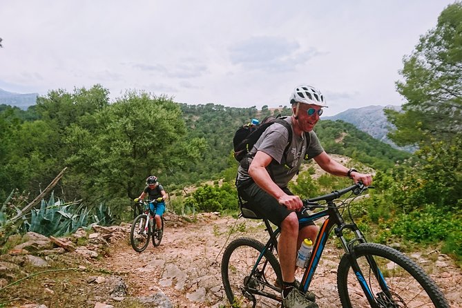 E-Mtb - El Burgo Forest Trails - 28km - Challenging - The Sum Up