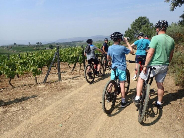 E-MTB - Vineyards Douro Tour - Booking Information