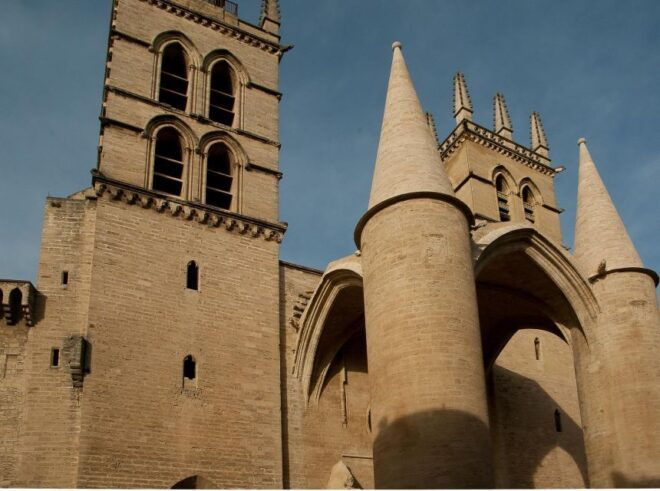 E-Scavenger Hunt: Explore Montpellier at Your Own Pace - Accessibility and Language Options
