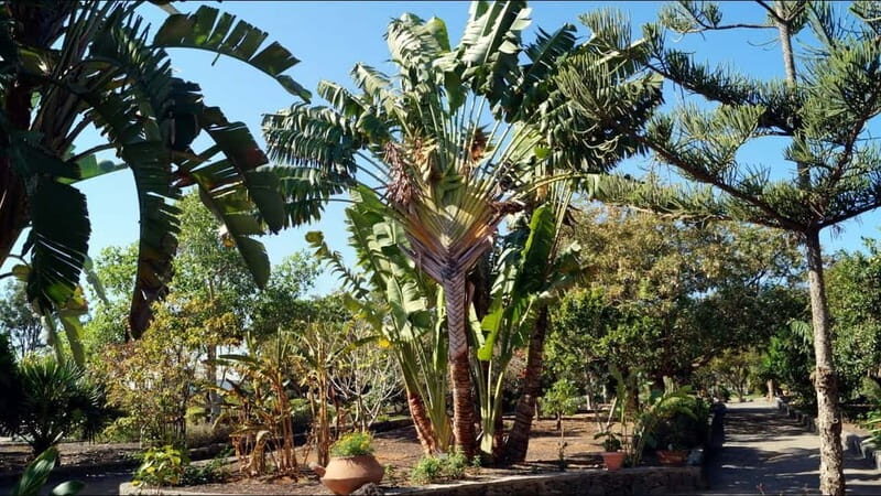e-Scooter City Tour + Camel Ride inside Maspalomas Dunes - FAQ