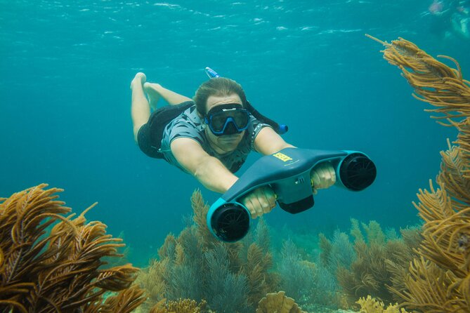 E-Snorkeling Tour in Bonaire With Easy Sea Scooters - Common Questions