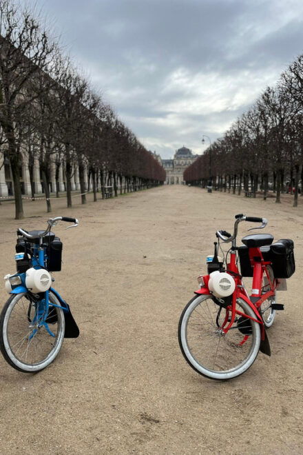 E-Solex Bike Guided Small Tour: Pariss Left Bank (2h) - Meeting Point