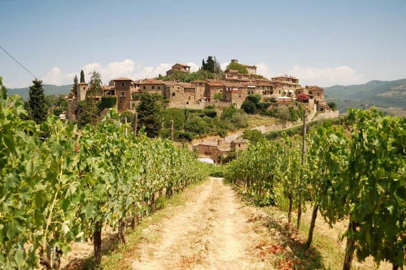 E-Vespa Tour in the Chianti and Pic Nic Lunch - The Sum Up: Who Is This Tour Perfect For?
