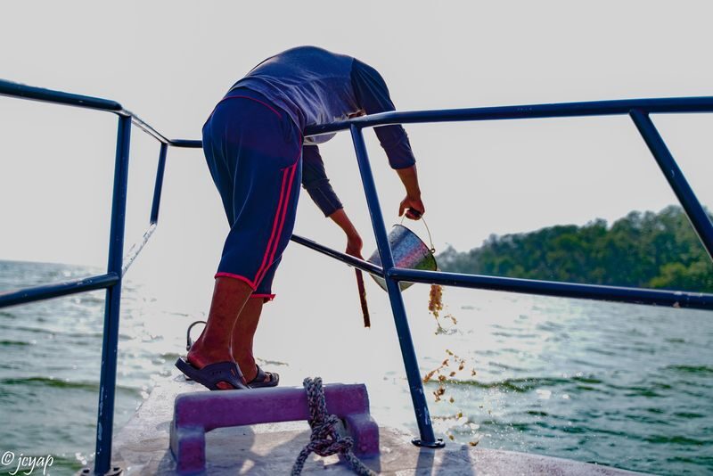 Eagle Feeding Experience in Kuala Selangor - Is the US$8.09 starting price good value?