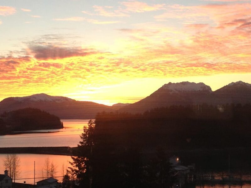 Ear Mountain Charters tours: whale watching or fishing - Pricing and Value