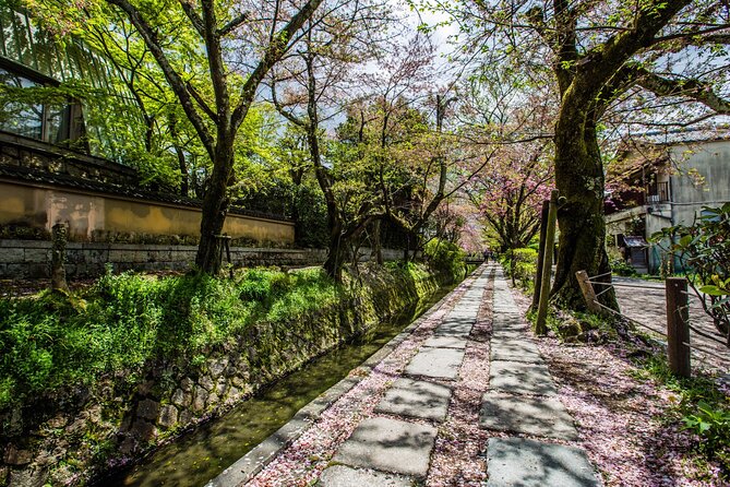 Early Bird E-Biking Through East Kyoto - Traveler Photos of the Experience