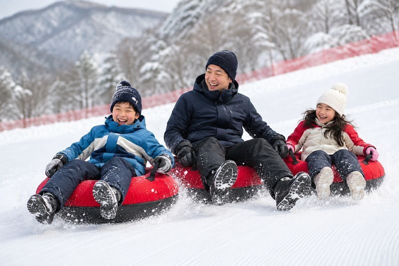 Early Bird: Elysian Winter Ski, Snowboard & Sled Tour from Seoul - Who should book this winter day?