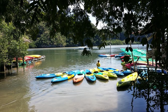 Early Bird Kayak With Small Group - Common Questions