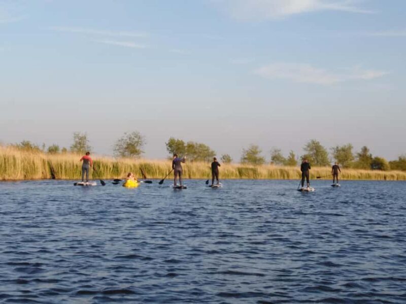 Early Bird Standup Paddletour to Fishing Harbours - Good To Know