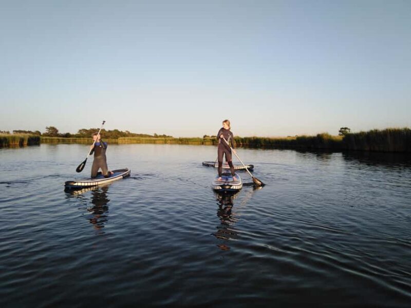 Early Bird Standup Paddletour to Fishing Harbours - Why This Tour Offers Great Value