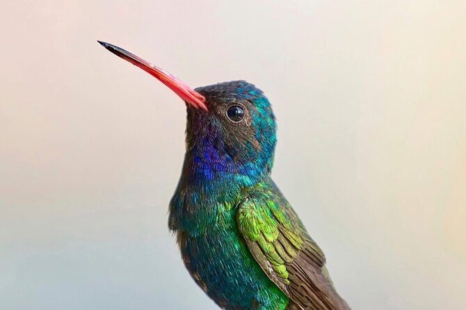 Early Birdwatching Eco City Tour Exper. + 2 Locations & Breakfast - What Makes This Tour Stand Out