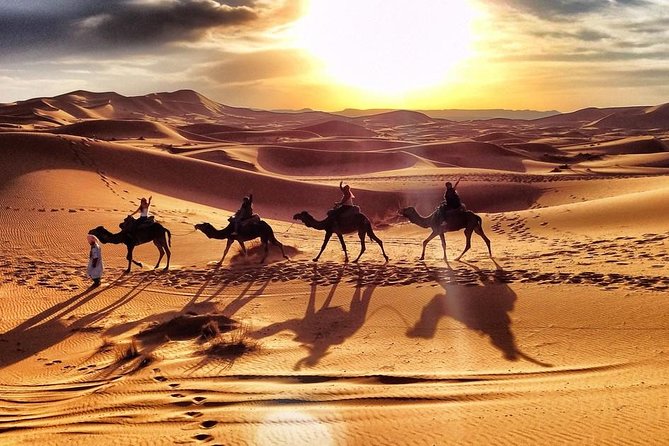 Early Morning Desert Safari With Camel Trekking Experience - Additional Information