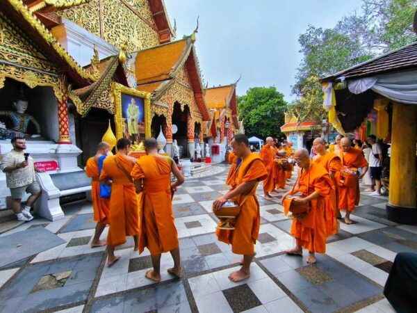 Early Morning Doi Suthep With Monk Chanting and Alms - Questions You May Have