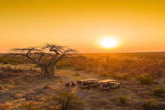 Early Morning Half-Day Chobe Safari - Customer Review