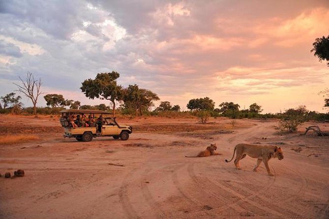Early Morning Half-Day Chobe Safari - Frequently Asked Questions
